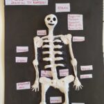 IMG_20230512_094240