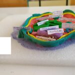 IMG_20230512_094507