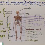IMG_20230512_094716