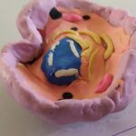 IMG_20240117_093345